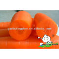 China Baby Carrot,New harvest fresh Carrot with Bright color